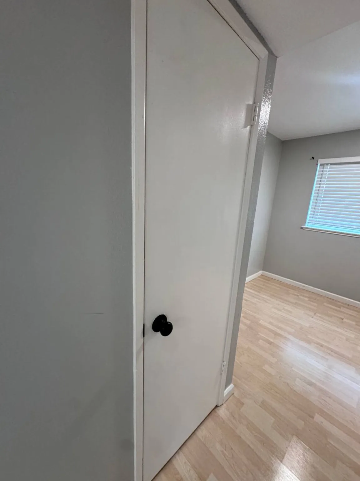 Move-In Cleaning completed work